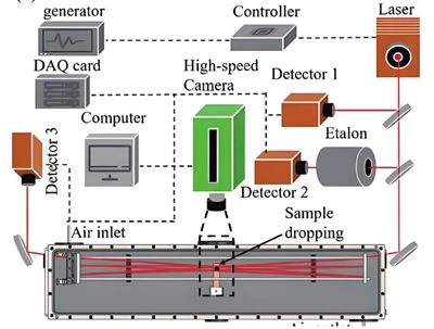 ההבדל בין H ו-W ב- PLC של Omron